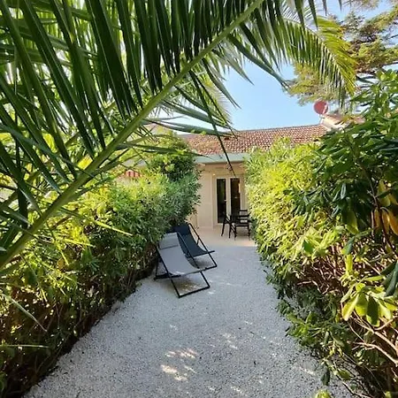 Daire Jardin Piscine Climatisatisation Acces Saint-Raphaël